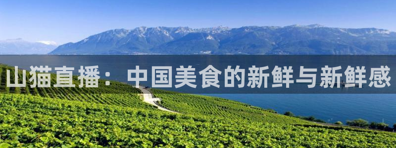 ag街机地址：山猫直播：中国美食的新鲜与新鲜感